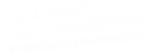 Tech Transition